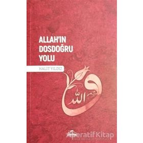 Allah'ın Dosdoğru Yolu - Halit Yıldız