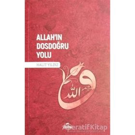 Allah'ın Dosdoğru Yolu - Halit Yıldız