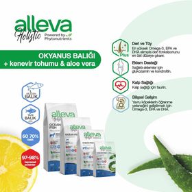 Alleva Holistik Balıklı Tahılsız Küçük Irk 2 kg Yavru Köpek Maması