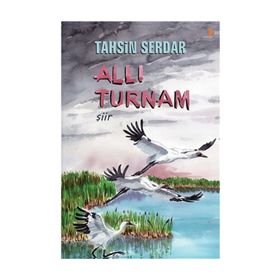 Allı Turnam - Ahmet Güngör