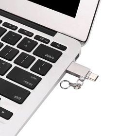 Ally 2in1 Gümüş Usb Type-C Kart Okuyucu