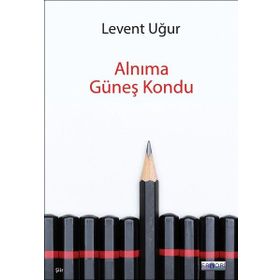 Alnıma Güneş Kondu - Levent Uğur