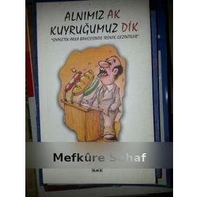 ALNIMIZ AK KUYRUĞUMUZ DIK SIYASETIN ARKA BAHÇESİNDE İRONİK GEZINTILER - AKIF ÇARKÇI