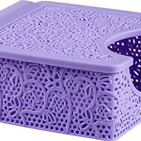 Alper Banyo TP5353 Mint Rengi Dondurucu Saklama Kabı