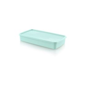 Alper Banyo TP5353 Mint Rengi Dondurucu Saklama Kabı