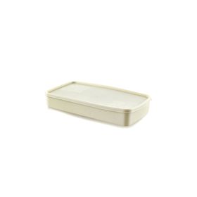Alper Banyo TP5353 Mint Rengi Dondurucu Saklama Kabı