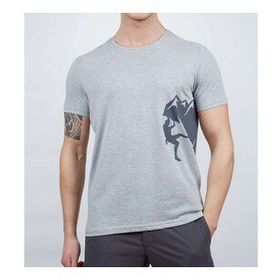 Alpinist Camp Gri Melanj Erkek T-shirt