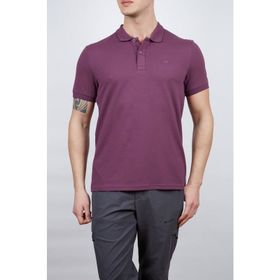 Alpinist Roc Erkek Mürdüm Polo T-Shirt