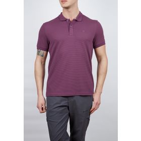 Alpinist Roc Erkek Mürdüm Polo T-Shirt