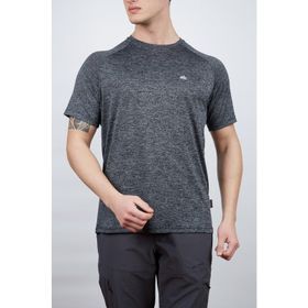 Alpinist Speedwick Move Gri Erkek T-shirt