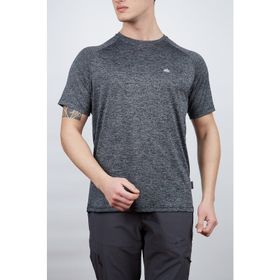 Alpinist Speedwick Move Gri Erkek T-shirt