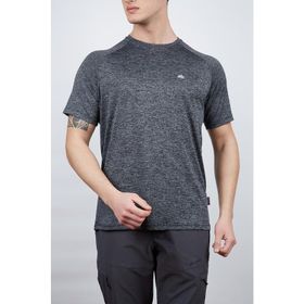 Alpinist Speedwick Move Gri Erkek T-shirt