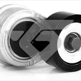 Alternatör Gergi Rulmanı (Mercedes Axor)