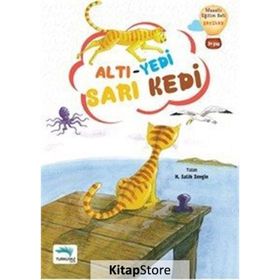 Altı Yedi Sarı Kedi - Salih Zengin