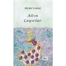 Altın Çayırlar - Ercan Yılmaz