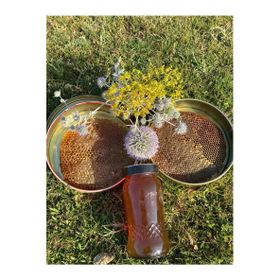 Altın Damla Zeytin ve Zeytinyağları 1 kg Kara Kovan Bal