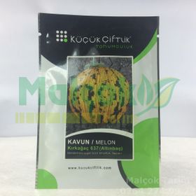Altınbaş (Kırkağaç) 637 Kavun Tohumu