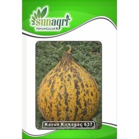 Altınbaş (Kırkağaç) 637 Kavun Tohumu