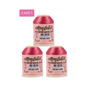 Altınbaşak Royaleks No: 858 20 gr 3 Adet Oya ve Dantel İpi