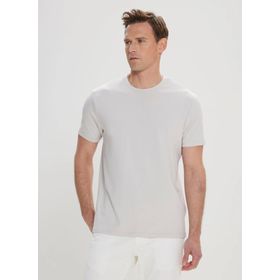 Altınyıldız Classics 4C4800000012 Açık Gri Bisiklet Yaka Erkek T-Shirt
