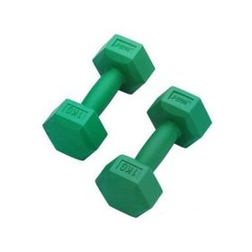 Altis DS50 1 kg Plastik Köşlei Dambıl