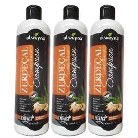 Alweyna Zerdeçal Çam Kozalak Özlü 3x400 ml Bitkisel Şampuan