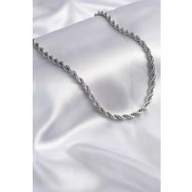 AlyaStore 316L Çelik Gümüş Renk Burgu Model Kadın Kolye