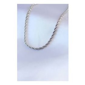 AlyaStore 316L Çelik Gümüş Renk Burgu Model Kadın Kolye
