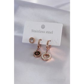 AlyaStore 316L Çelik Rose Renk Daire Model Zirkon Taş Detay Kadın Küpe Kombini