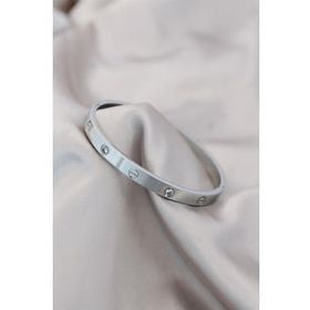 AlyaStore Zirkon Taşlı Cartier Çelik Gümüş Renk Bileklik