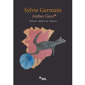 Amber Gece - Sylvie Germain