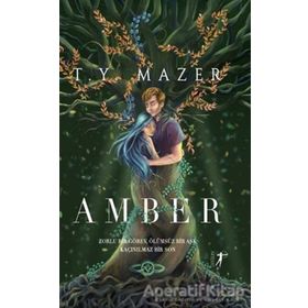 Amber - T. Y. Mazer - Artemis Yayınları