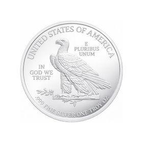Amerikan Kartalı Gümüş Sikke Coin