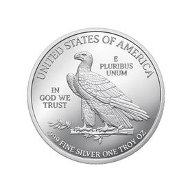 Amerikan Kartalı Gümüş Sikke Coin