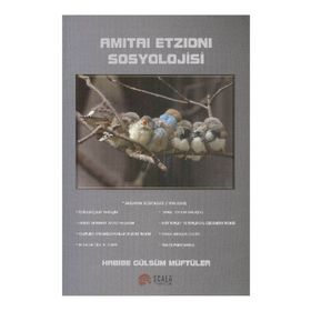 Amitai Etzioni Sosyolojisi - habibe gulsum muftuler