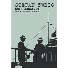 Amok Koşucusu - Stephan Zweig - Ayrıntı Yayınları