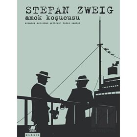 Amok Koşucusu - Stephan Zweig - Ayrıntı Yayınları