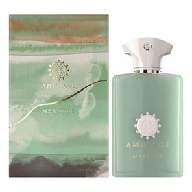 Amouage Meander EDP 100 ml Erkek Parfüm