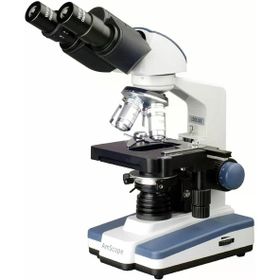 AmScope B120 Siedentopf Binokuler Bileşik Mikroskop