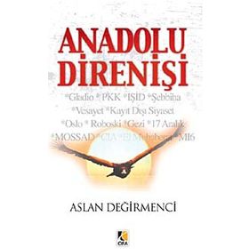 Anadolu Direnişi - Aslan Değirmenci