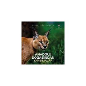 Anadolu Doğasından Yansımalar - Bülent Gözcelioğlu