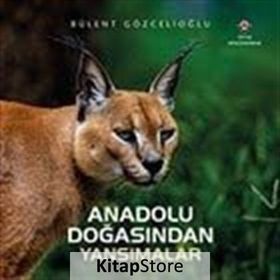 Anadolu Doğasından Yansımalar - Bülent Gözcelioğlu