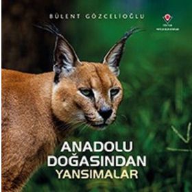 Anadolu Doğasından Yansımalar - Bülent Gözcelioğlu