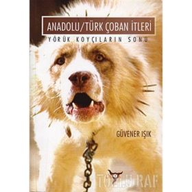 ANADOLU/TÜRK ÇOBAN İTLERİ YÖRÜK KOYÇILARIN SONU - GÜVENER IŞIK