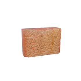 Anatolia Soap 110 gr Doğal Kabak Lifli cilt Beyazlatıcı Sabunu