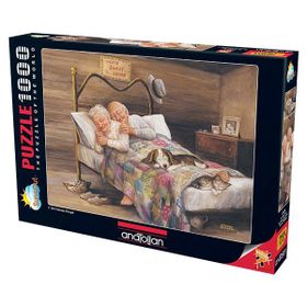 Anatolian 3124 Ev Gibisi Yok 1000 Parça Puzzle
