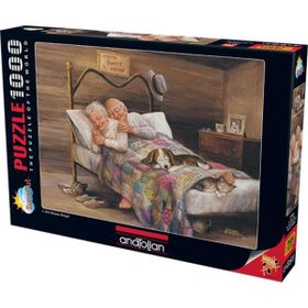 Anatolian 3124 Ev Gibisi Yok 1000 Parça Puzzle