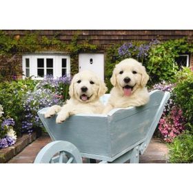 Anatolian 3310 Bahçıvan Köpekler 260 Parça Puzzle