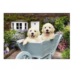 Anatolian 3310 Bahçıvan Köpekler 260 Parça Puzzle