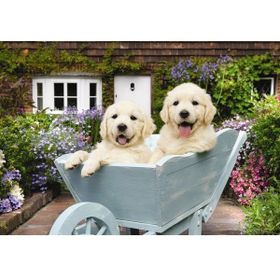 Anatolian 3310 Bahçıvan Köpekler 260 Parça Puzzle